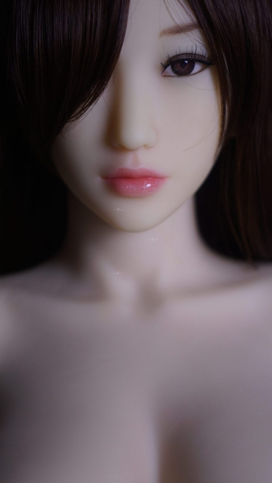 DSC00548