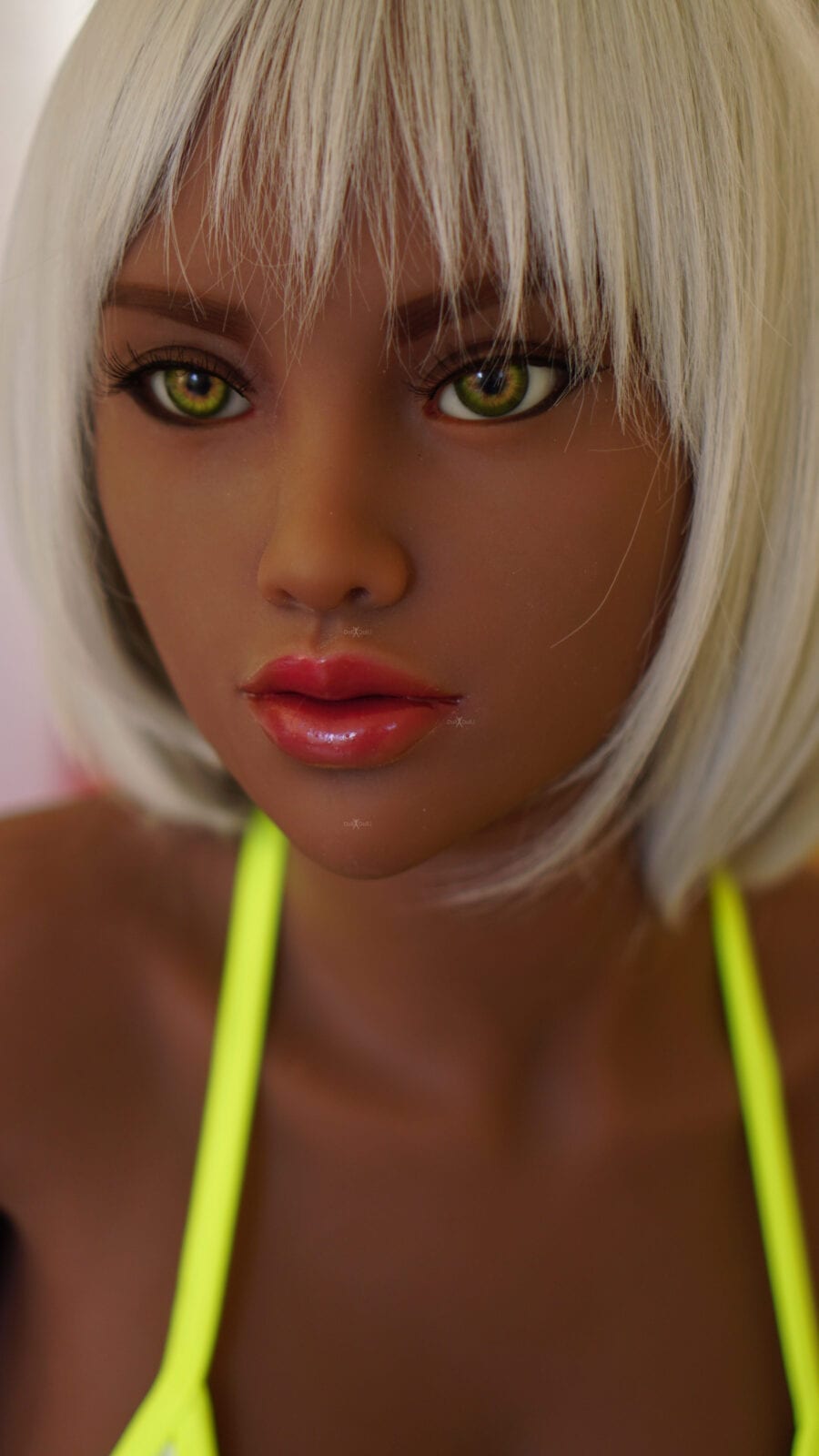 DSC04960