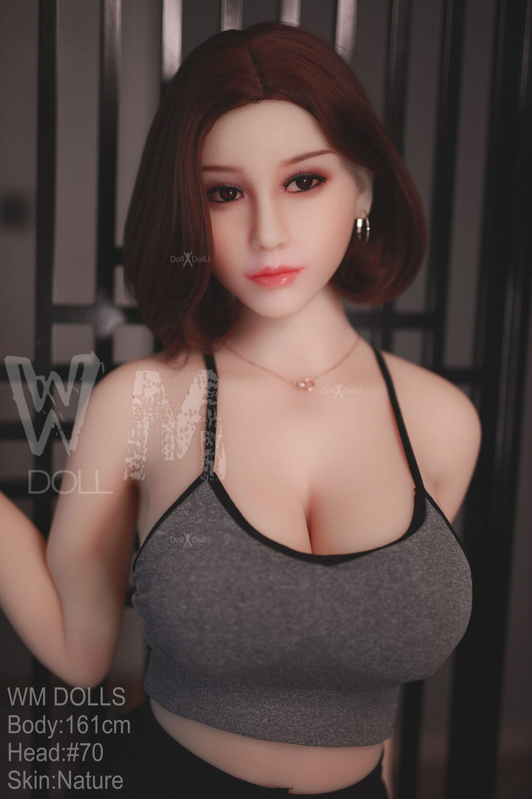 6 (6)