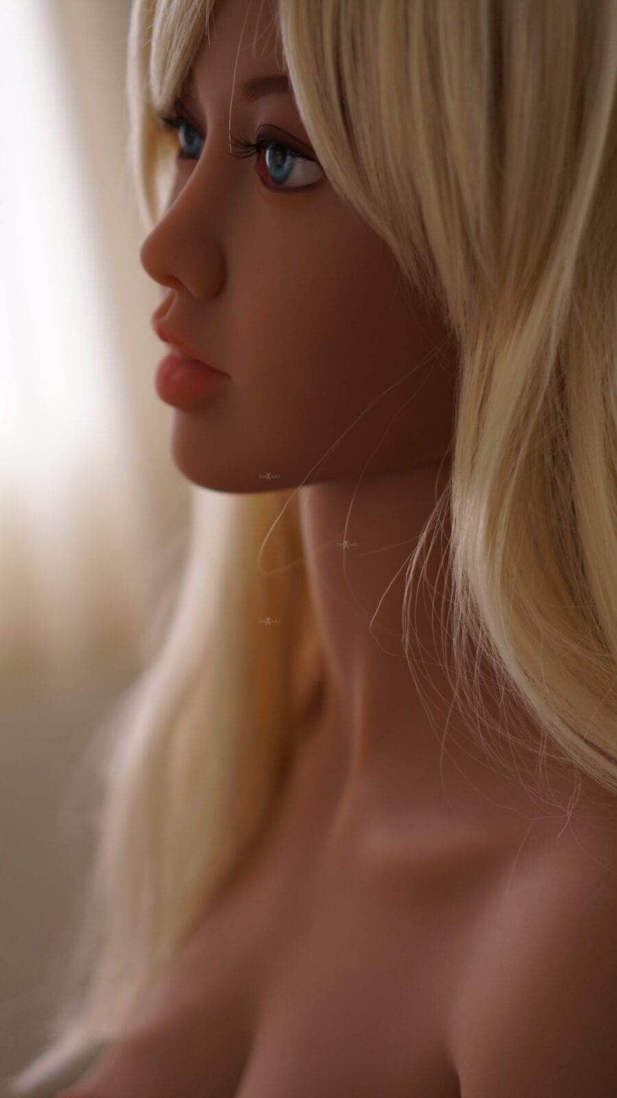 DSC01215